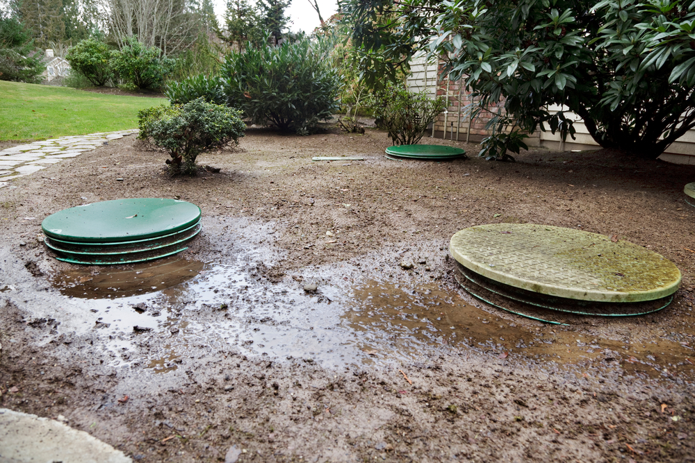 Real Estate Septic Inspections – Protect Your Investment with a Professional Assessment